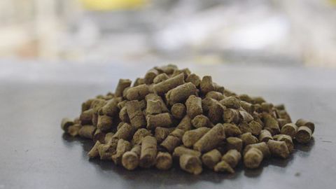 YnFrass est un fertilisant organique (NPK 4-3-2) issu des déjections de Tenebrio molitor. © YNSECT